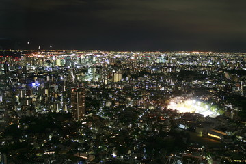 Tokyo Megacity at night