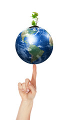hands, the sprout and  Earth