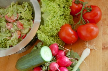 Salatschüssel mit Salat, Radieschen, Gurke und Tomaten