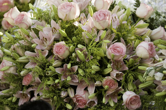 Onomastica Images Browse 3 Stock Photos, Vectors, and Video Adobe Stock