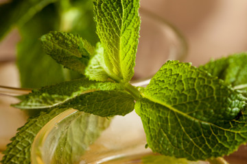 Mojito Rum Scuro - Cocktail