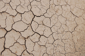 desert texture