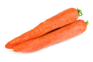 Carrot