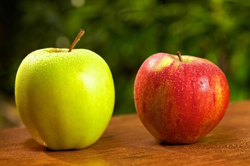 Apple garden