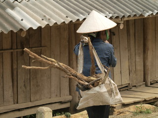Mujer llevando leña en Vietnam
