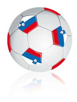 Slovenia soccer ball