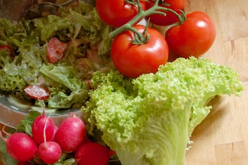 Salatschüssel mit Salat, Radieschen und Tomaten