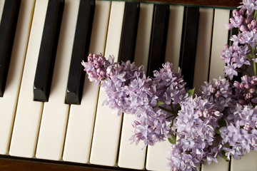 Love of Music - purple lilac