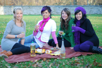 Picknick