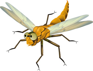 Dragonfly from a fairy tale