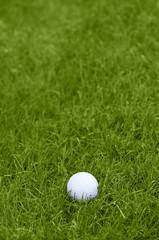 Golf ball on grass course
