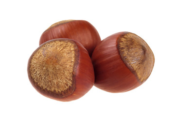 Three unpeeled hazelnut