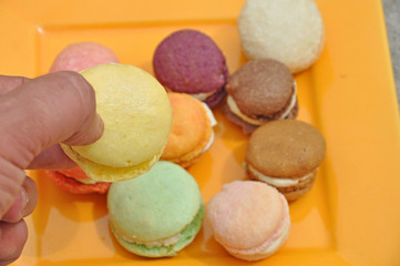 macarons multicolores 2