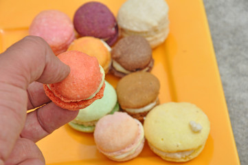 macarons multicolore 3