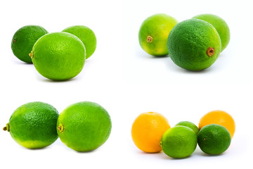 citrus