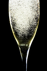 sparkling champagne