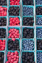 berries in rows
