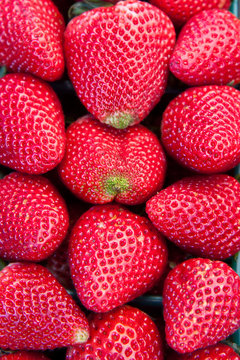 strawberries close up
