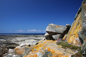 c&ocirc;te bretonne entre Pleubian et Paimpol,bretagne