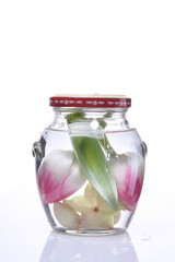 Маленькие тюльпаны в прозрачной вазе