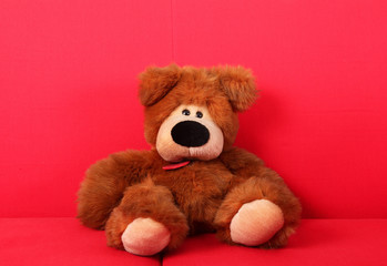 orsacchiotto sul divano rosso