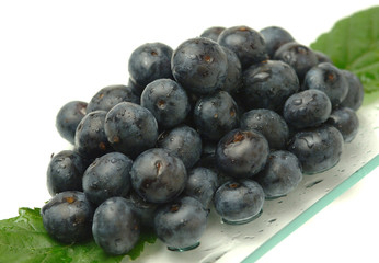 Blueberries