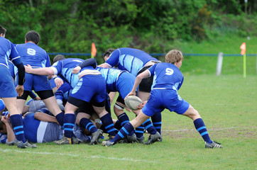 joueurs de rugby