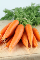 Fresh organic carrots