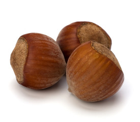 hazelnuts isolated on white background