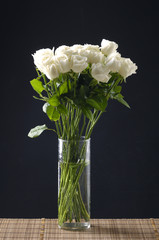 White rose in vase on black ground