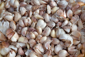 garlic bulbs
