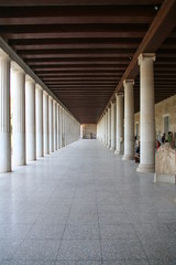 Grecka Angora © Tomasz Sergej