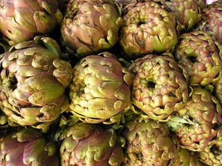 Fototapeta premium Carciofi (cynara cardunculus)