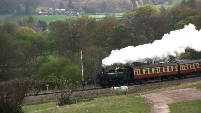 Train in the countryside