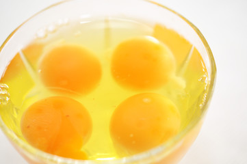 Eigelb