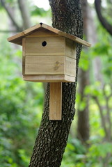 Mangeoire à oiseaux © bricef