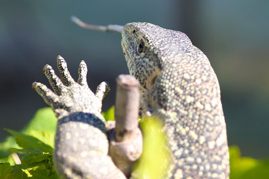 High Five!