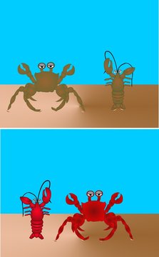 King crab  and lobster on a beach illustration