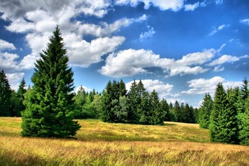 Thüringer Wald