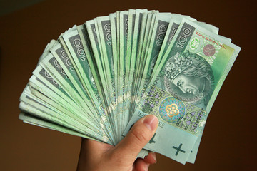 Polish Money in hand