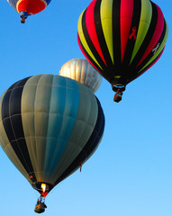 Fototapeta premium Hot Air Balloons