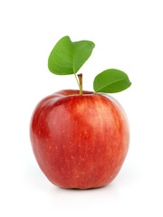 Ripe red apple on a white background
