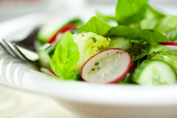 Close-up of spring salad