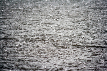 Fototapeta premium Rain drops rippling background