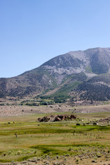 Fototapeta na wymiar Sierra Nevadas