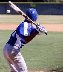 Baseball Action