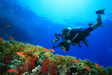 Papier Peint photo autocollant Plonger Scuba Diver avec caméra s& 39 approche des poissons tropicaux sur les récifs coralliens