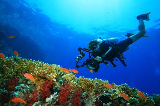 Scuba Diver with camera approaches tropical fish on coral reef