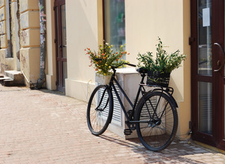 Fototapeta na wymiar Bicycle with baskets of flowers