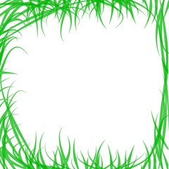 GRASS GREEN FRAME